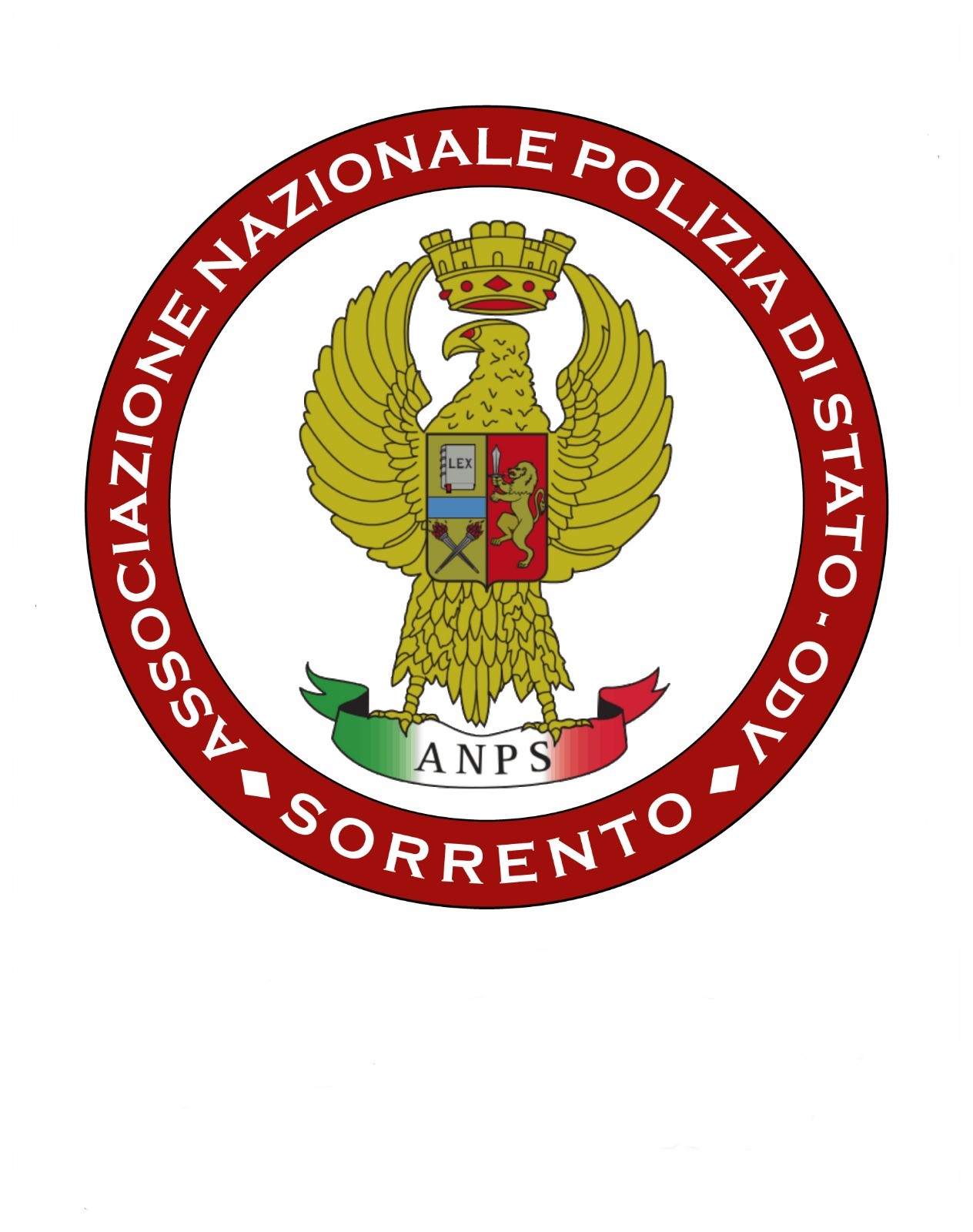 Gruppo O.D.V. di Protezione Civile Sorrento