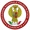 Logo ANPS Volontari Sorrento